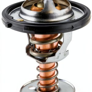 MotoRad 456-160 Engine Coolant Thermostat for Automotive-0