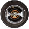 Motorad 416-180 Engine Thermostat for Dodge Ram-2