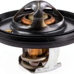 MotoRad Thermostat Push Button Black-0