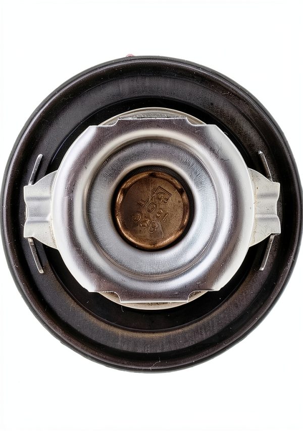 MotoRad Thermostat Auto-Scheduling Thermostat-1